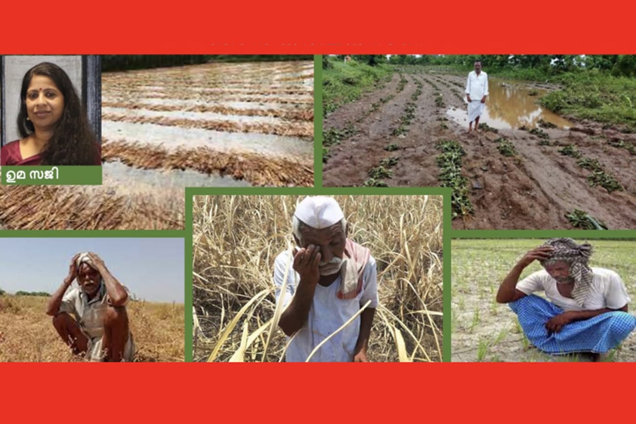 മയൂഖം- സാഹിത്യസാംസ്കാരിക വേദി സംഘടിപ്പിച്ച കഥാമത്സരത്തിൽ ഒന്നാം സ്ഥാനം നേടിയ ഉമ സജി എഴുതിയ  ചെറുകഥ