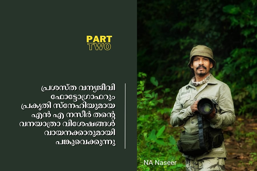 കാട്ടു  പുഴയോരത്തെ  ആ വീട് - Part-2