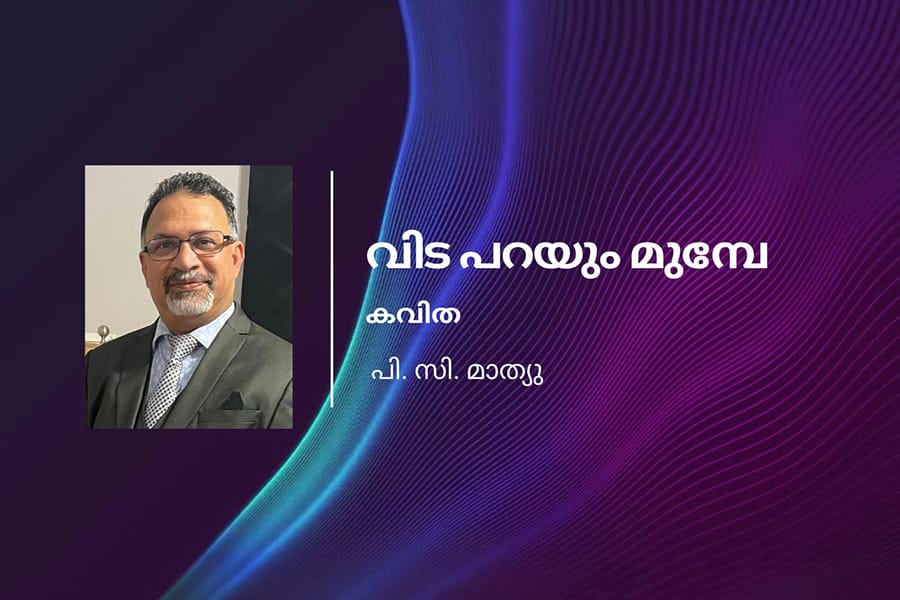 വിട പറയും മുമ്പേ.....