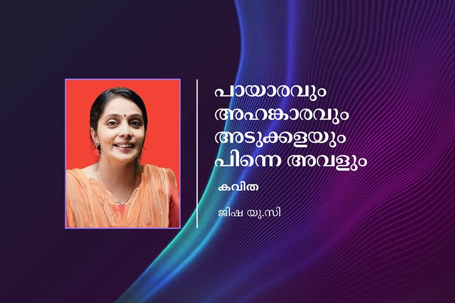 പായാരവും അഹങ്കാരവും അടുക്കളയും പിന്നെ അവളും
