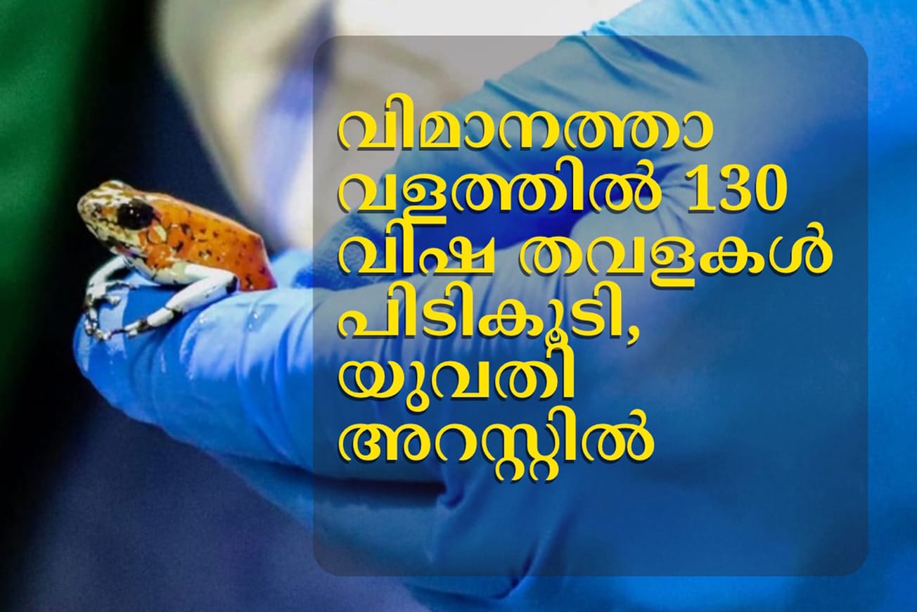 വിമാനത്താവളത്തിൽ 130 വിഷ തവളകൾ പിടികൂടി, യുവതി അറസ്റ്റിൽ