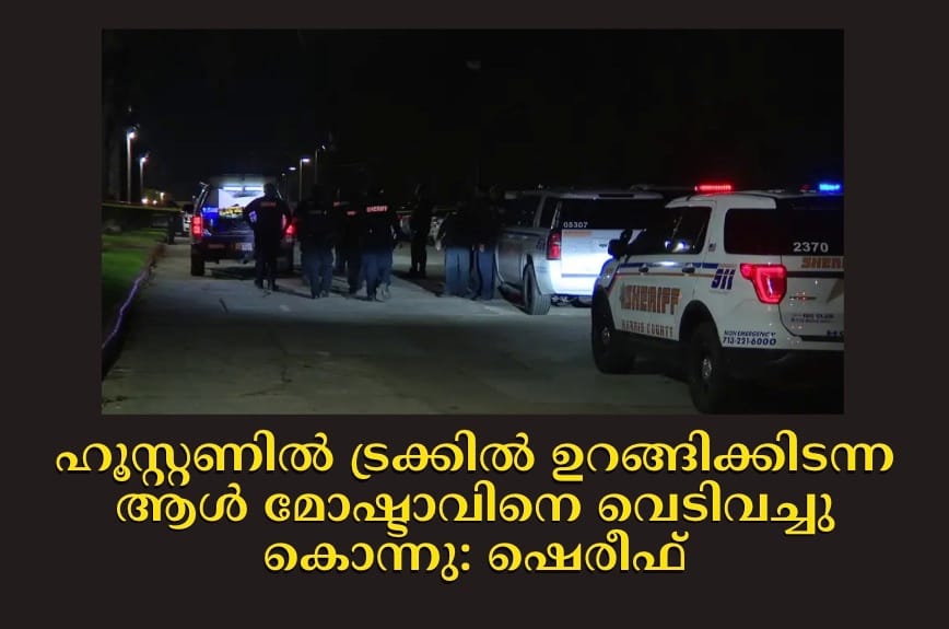 ഹൂസ്റ്റണിൽ ട്രക്കിൽ ഉറങ്ങിക്കിടന്ന ആൾ മോഷ്ടാവിനെ വെടിവച്ചു കൊന്നു: ഷെരീഫ്