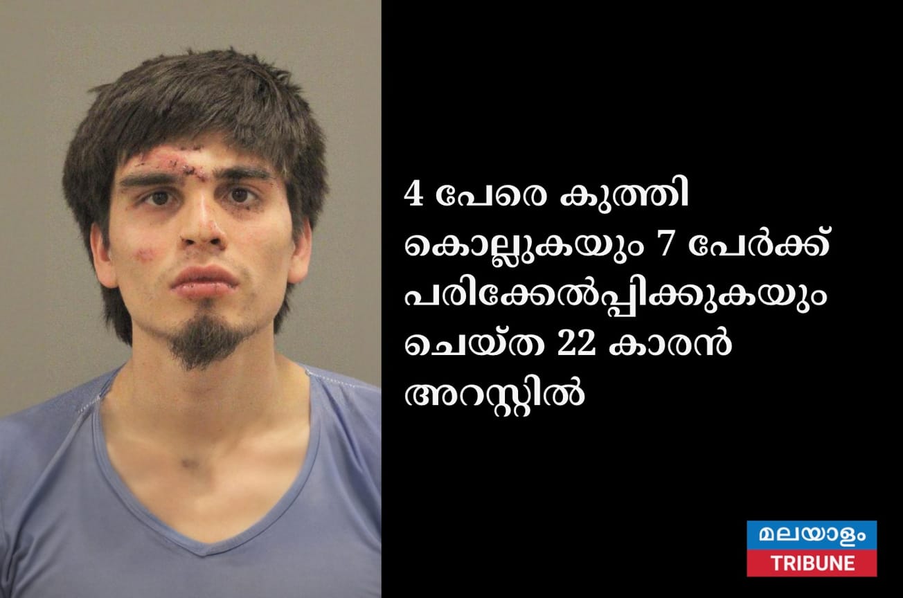 4 പേരെ കുത്തി കൊല്ലുകയും 7 പേർക്ക് പരിക്കേൽപ്പിക്കുകയും ചെയ്ത 22 കാരൻ അറസ്റ്റിൽ