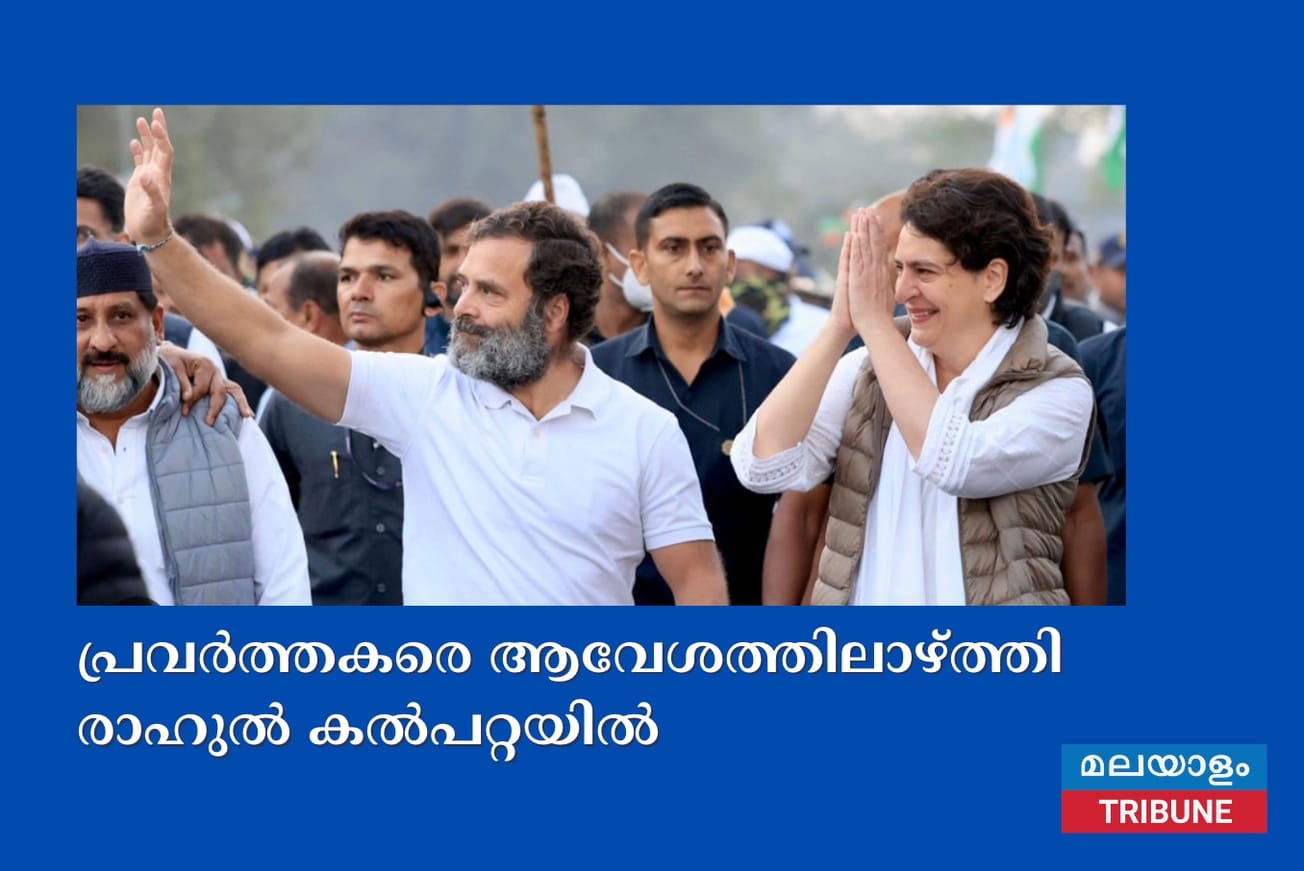 പ്രവർത്തകരെ ആവേശത്തിലാഴ്ത്തി രാഹുൽ കൽപറ്റയിൽ