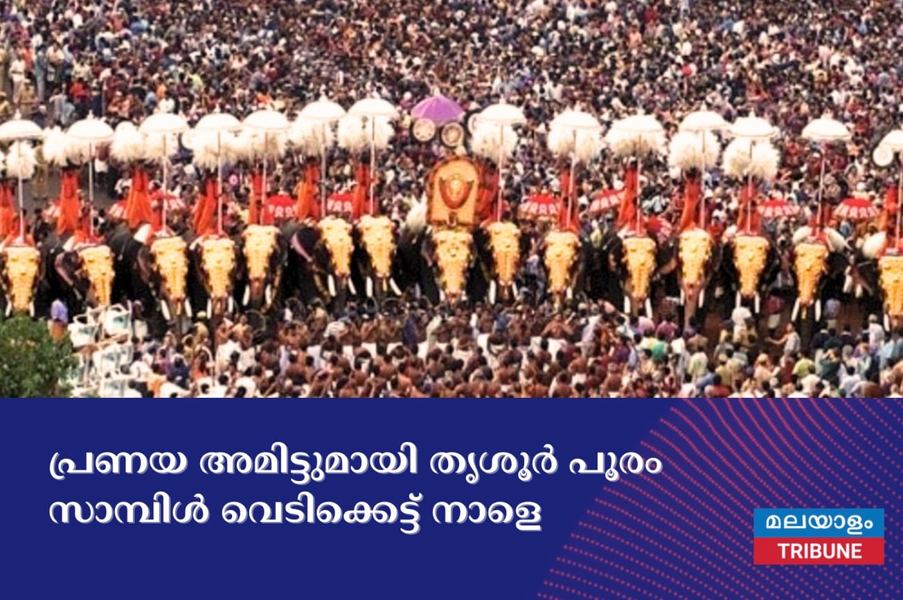 പ്രണയ അമിട്ടുമായി തൃശൂർ പൂരം സാമ്പിൾ വെടിക്കെട്ട് നാളെ