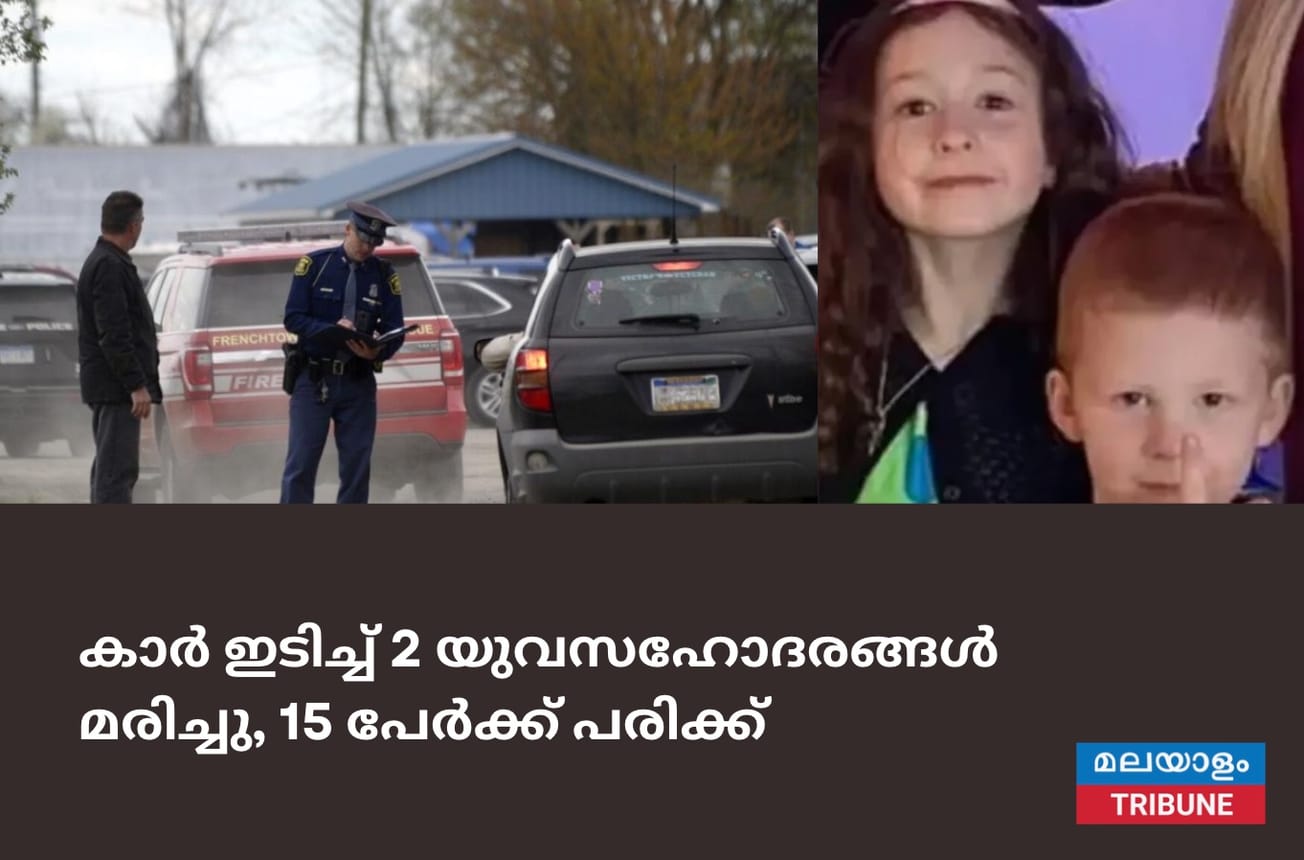 മിഷിഗണിൽ ജന്മദിന പാർട്ടിയിലേക്ക് കാർ ഇടിച്ച് 2 യുവസഹോദരങ്ങൾ മരിച്ചു, 15 പേർക്ക് പരിക്ക്