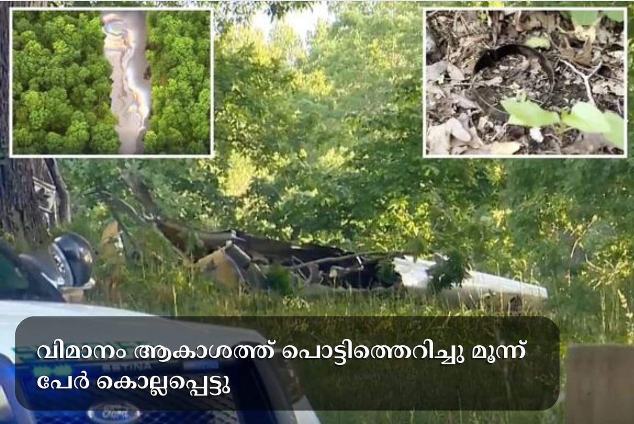 വിമാനം ആകാശത്ത് പൊട്ടിത്തെറിച്ചു മൂന്ന് പേർ കൊല്ലപ്പെട്ടു