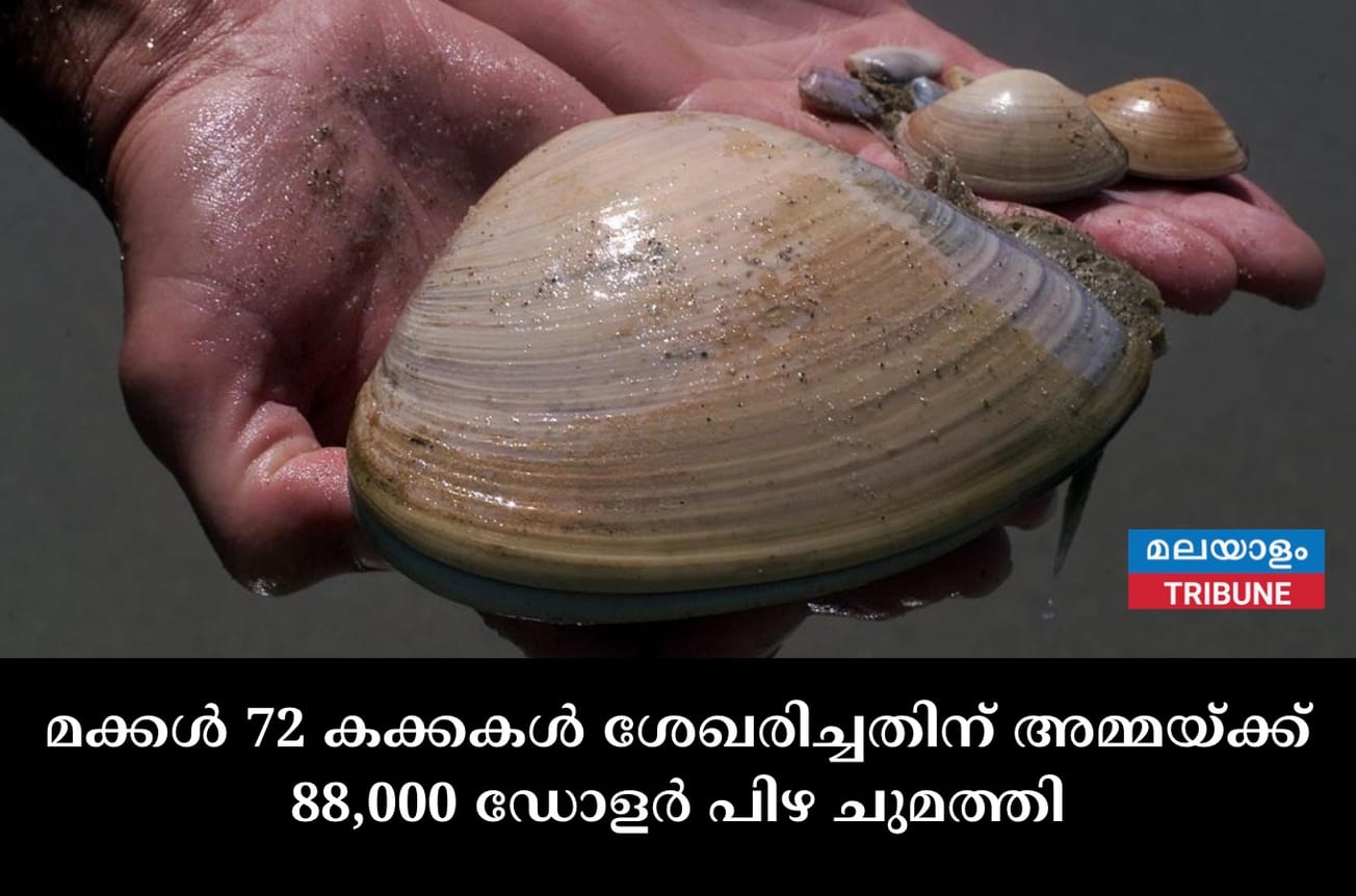 മക്കൾ 72 കക്കകൾ ശേഖരിച്ചതിന് അമ്മയ്ക്ക് 88,000 ഡോളർ പിഴ ചുമത്തി
