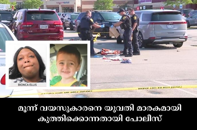 മൂന്ന് വയസുകാരനെ യുവതി മാരകമായി കുത്തിക്കൊന്നതായി പോലീസ്