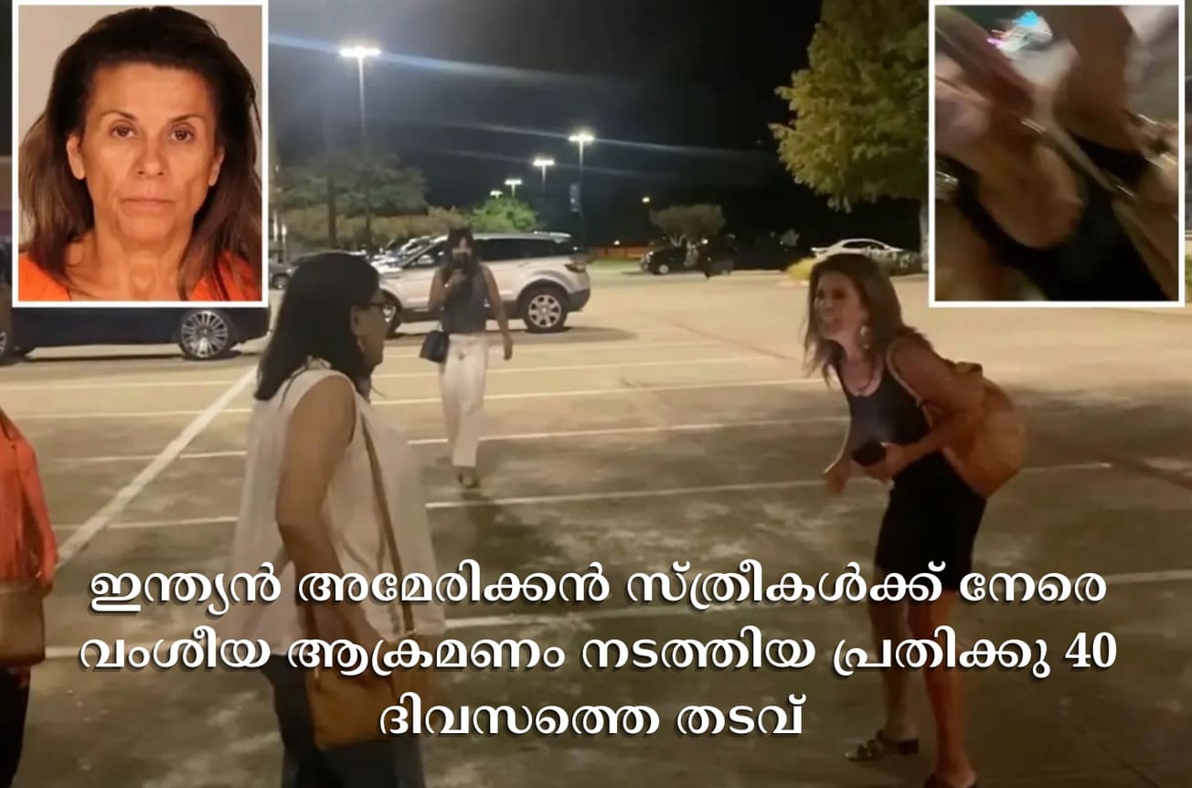 ഇന്ത്യൻ അമേരിക്കൻ സ്ത്രീകൾക്ക് നേരെ വംശീയ ആക്രമണം നടത്തിയ പ്രതിക്കു 40 ദിവസത്തെ തടവ്