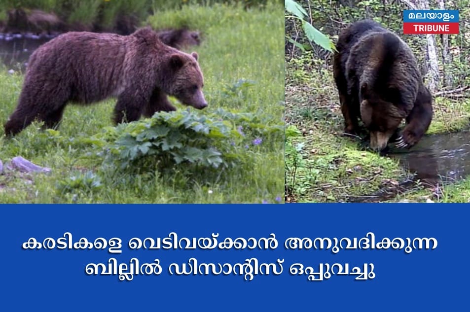 കരടികളെ വെടിവയ്ക്കാൻ അനുവദിക്കുന്ന ബില്ലിൽ ഡിസാൻ്റിസ് ഒപ്പുവച്ചു