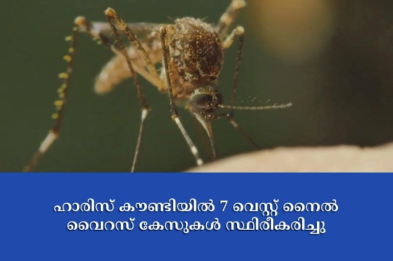 ഹാരിസ് കൗണ്ടിയിൽ 7 വെസ്റ്റ് നൈൽ വൈറസ് കേസുകൾ സ്ഥിരീകരിച്ചു