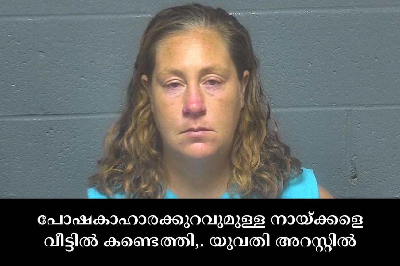 പോഷകാഹാരക്കുറവുള്ള നായ്ക്കളെ വീട്ടിൽ കണ്ടെത്തി, യുവതി അറസ്റ്റിൽ