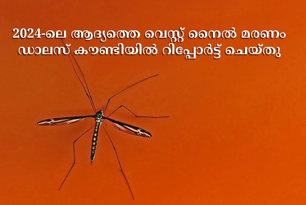 2024-ലെ ആദ്യത്തെ വെസ്റ്റ് നൈൽ മരണം ഡാലസ് കൗണ്ടിയിൽ റിപ്പോർട്ട് ചെയ്തു