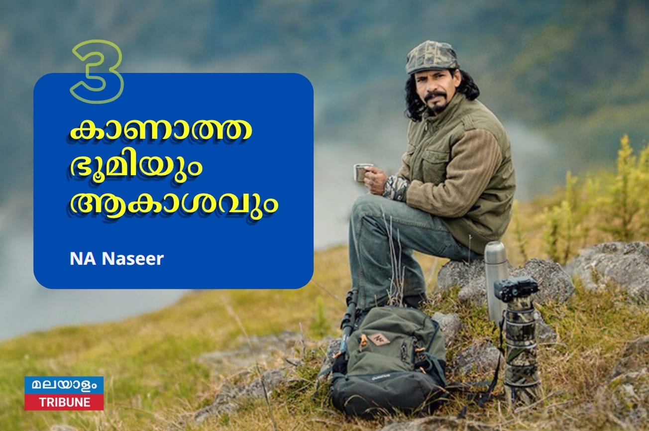 NA Naseer / wildlife photographer