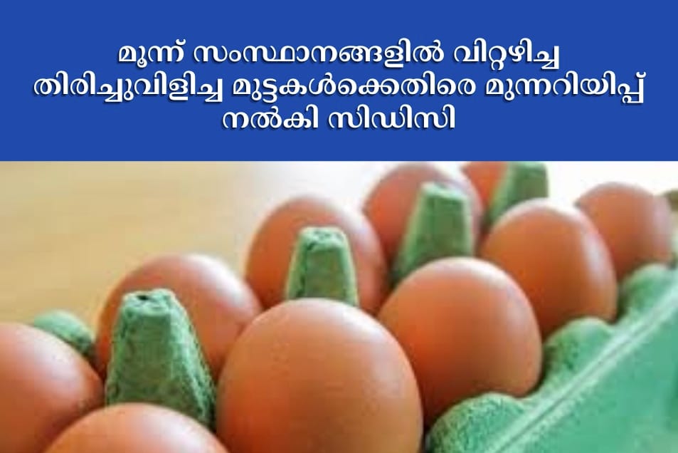 മൂന്ന് സംസ്ഥാനങ്ങളിൽ വിറ്റഴിച്ച തിരിച്ചുവിളിച്ച മുട്ടകൾക്കെതിരെ മുന്നറിയിപ്പ് നൽകി സിഡിസി