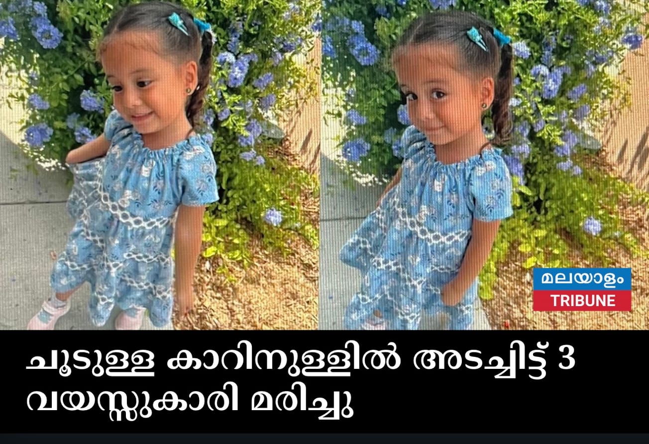 ചൂടുള്ള കാറിനുള്ളിൽ അടച്ചിട്ട് 3 വയസ്സുകാരി മരിച്ചു മാതാവ് അറസ്റ്റിൽ