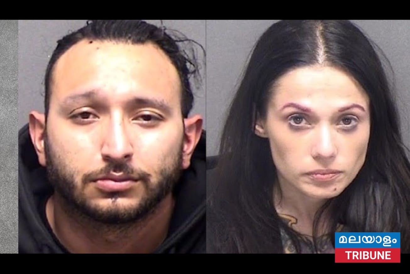 പിറ്റ് ബുൾസ് 81 കാരനെ കൊലപ്പെടുത്തി ഉടമസ്ഥരായ ദമ്പതികൾക്ക് തടവ് ശിക്ഷ