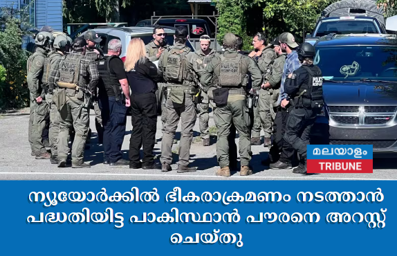 ന്യൂയോർക്കിൽ ഭീകരാക്രമണം നടത്താൻ പദ്ധതിയിട്ട പാകിസ്ഥാൻ പൗരനെ അറസ്റ്റ് ചെയ്തു