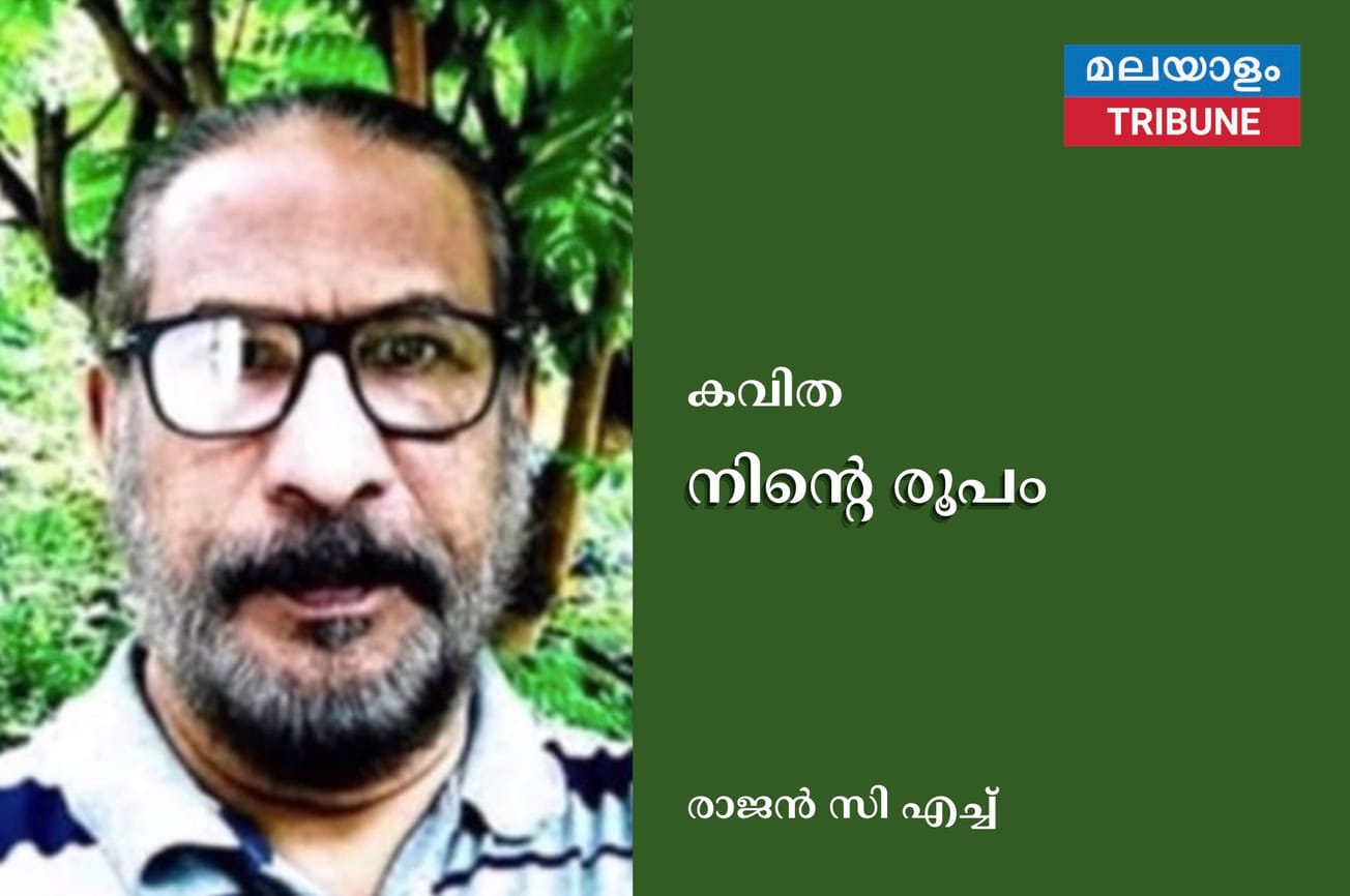 നിന്റെ രൂപം, കവിത (രാജൻ സി എച്ച് )