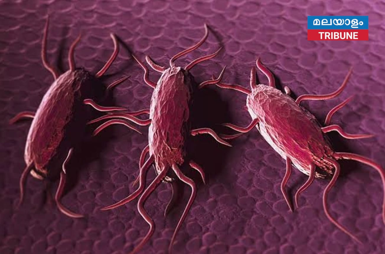 ലിസ്റ്റീരിയ ബാധിച്ച് കുട്ടി മരിച്ചു, 11 പേർക്ക് രോഗ ബാധ ,യു ഷാങ് ഫുഡിൽ നിന്നുള്ള റെഡി-ടു-ഈറ്റ്-മാംസം തിരിച്ചു വിളിച്ചു