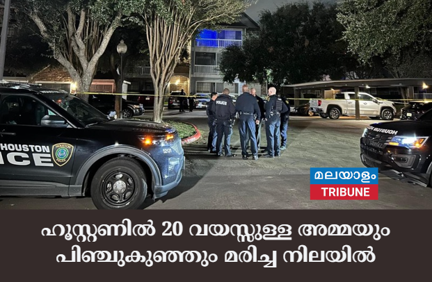 ഹൂസ്റ്റണിൽ 20 വയസ്സുള്ള അമ്മയും പിഞ്ചുകുഞ്ഞും മരിച്ച നിലയിൽ