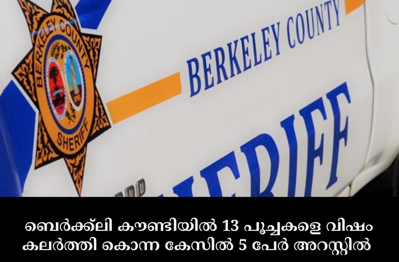ബെർക്ക്‌ലി കൗണ്ടിയിൽ 13 പൂച്ചകളെ വിഷം കലർത്തി കൊന്ന കേസിൽ 5 പേർ അറസ്റ്റിൽ