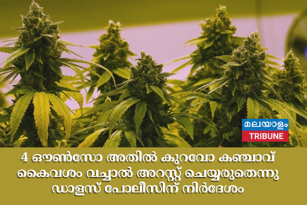 4 ഔൺസോ അതിൽ കുറവോ കഞ്ചാവ് കൈവശം വച്ചാൽ അറസ്റ്റ് ചെയ്യരുതെന്നു ഡാളസ് പോലീസിന് നിർദേശം