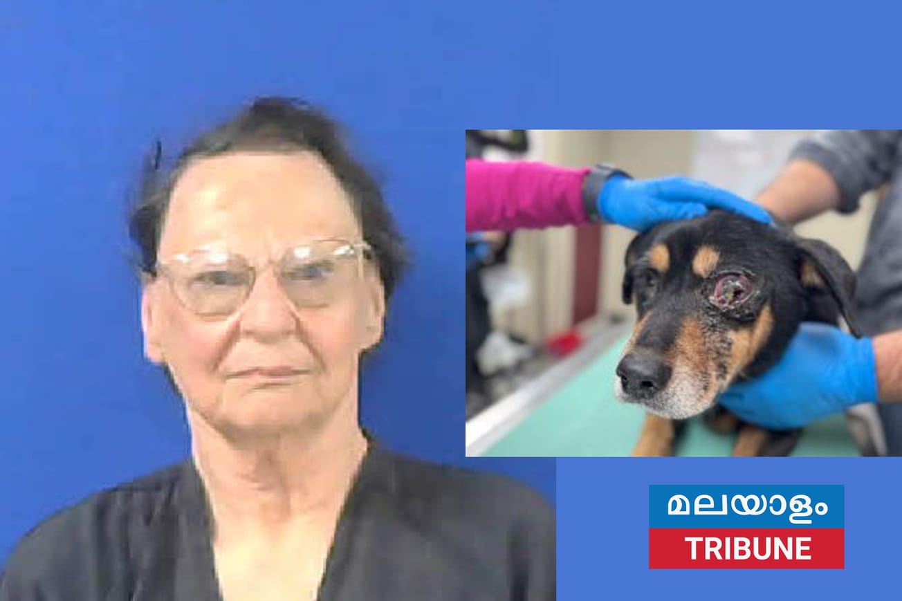 ടെക്‌സസിൽ തണുത്തുറഞ്ഞ താപനിലയിൽ നായ്ക്കളെ ഉപേക്ഷിച്ച സ്ത്രീ അറസ്റ്റിൽ