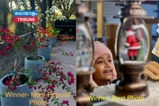 ഫൊക്കാന വിമൻസ് ഫോറം സംഘടിപ്പിച്ച ഫോട്ടോഗ്രാഫി മത്സരത്തിലെ വിജയികളെ  പ്രസിഡന്റ് സജിമോൻ ആന്റണി പ്രഖ്യാപിച്ചു.