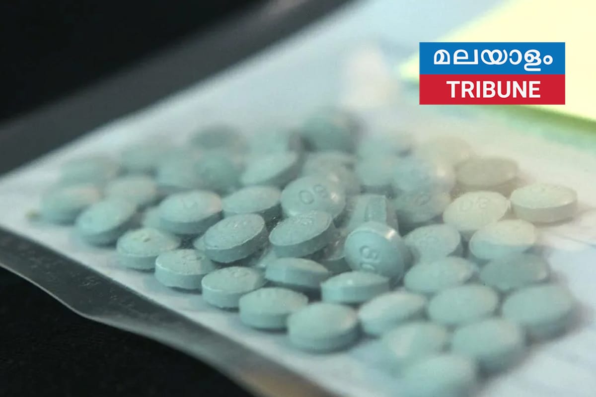 ഡൗണിയിൽ 55 മില്യൺ ഡോളറിന്റെ മയക്കുമരുന്ന് വേട്ട 3 ഫെന്റനൈൽ കടത്തുകാരെ അറസ്റ്റ് ചെയ്തു