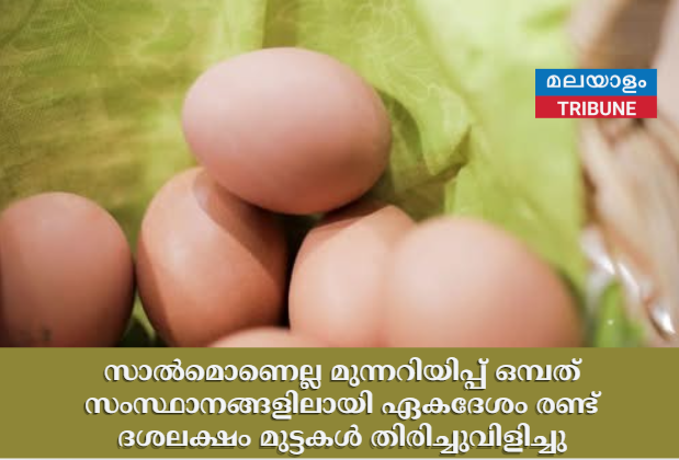 സാൽമൊണെല്ല മുന്നറിയിപ്പ് ഒമ്പത് സംസ്ഥാനങ്ങളിലായി ഏകദേശം രണ്ട് ദശലക്ഷം മുട്ടകൾ തിരിച്ചുവിളിച്ചു
