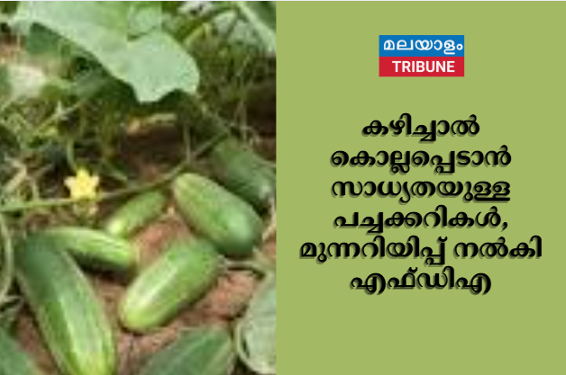 കഴിച്ചാൽ കൊല്ലപ്പെടാൻ സാധ്യതയുള്ള പച്ചക്കറികൾ, മുന്നറിയിപ്പ് നൽകി എഫ്ഡിഎ