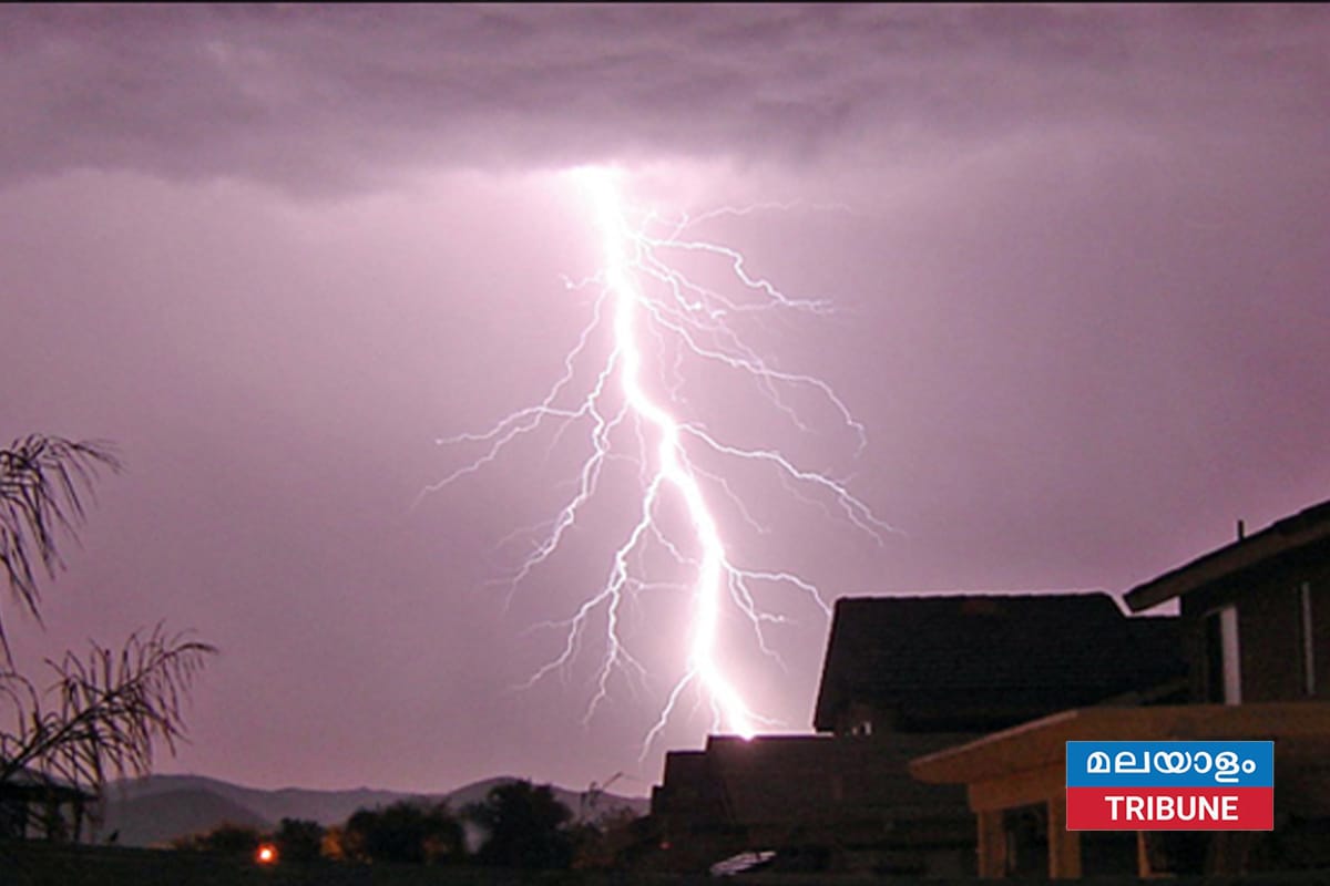 സൗത്ത് കരോലിന ബീച്ചിൽ നീന്തുന്നതിനിടെ ഇടിമിന്നലേറ്റ് 20 പേർക്ക് പരിക്കേറ്റു