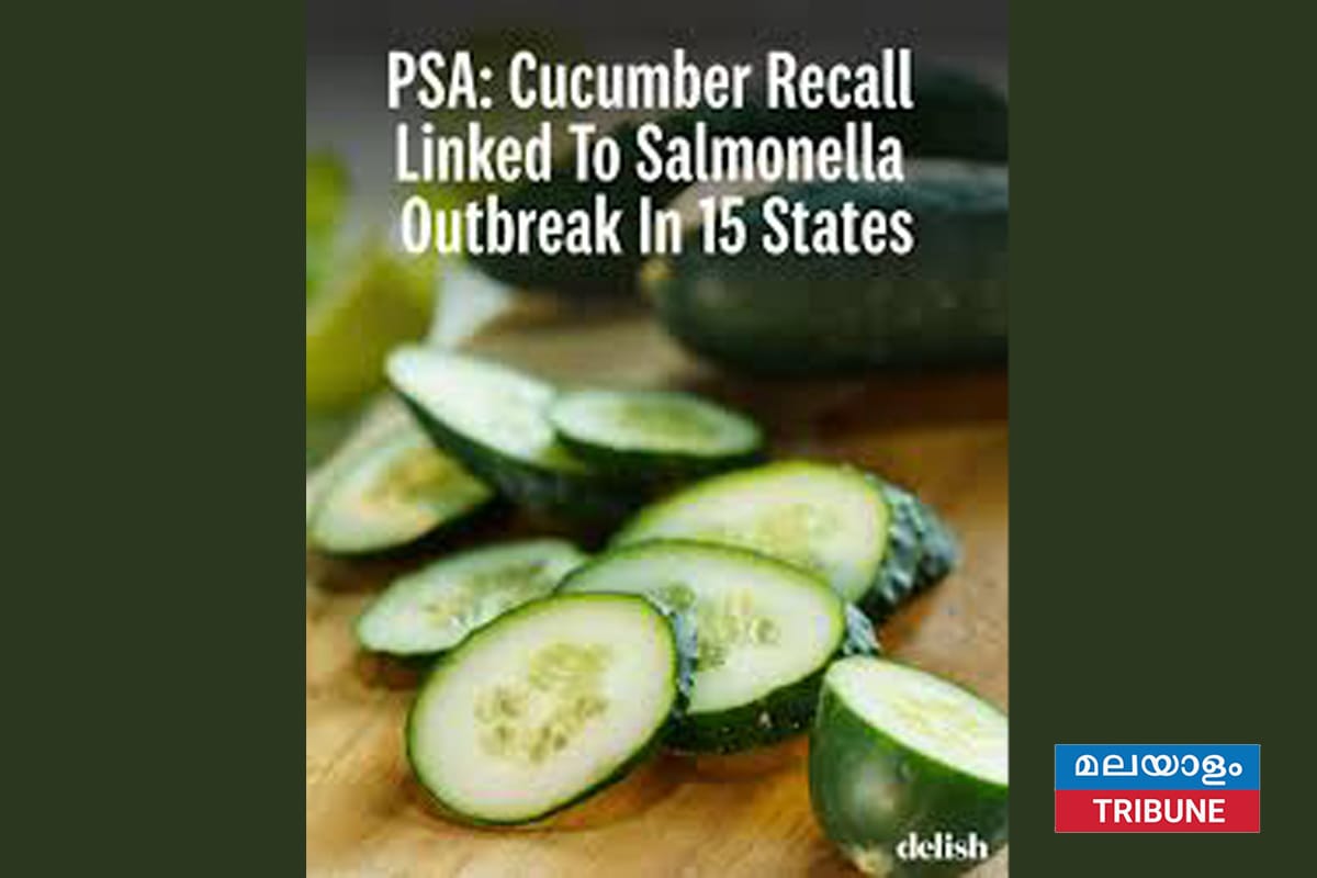 വെള്ളരിക്കയുമായി(ക്യൂകമ്പർ) ബന്ധപ്പെട്ട സാൽമൊണെല്ല രോഗങ്ങൾ വർദ്ധിക്കുന്നുവെന്നു സി ഡി സി