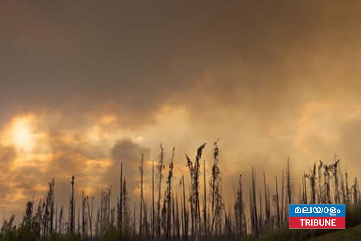 കാനഡയുടെയും യുഎസിന്റെയും ചില ഭാഗങ്ങളിൽ കാട്ടുതീ 25,000-ത്തിലധികം താമസക്കാരെ ഒഴിപ്പിച്ചു