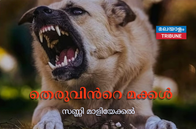 തെരുവിൻറെ മക്കൾ -സണ്ണി മാളിയേക്കൽ
