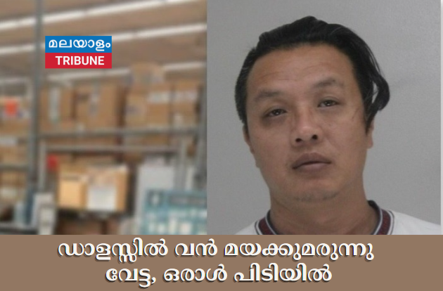 ഡാളസ്സിൽ വൻ മയക്കുമരുന്നു വേട്ട, ഒരാൾ പിടിയിൽ