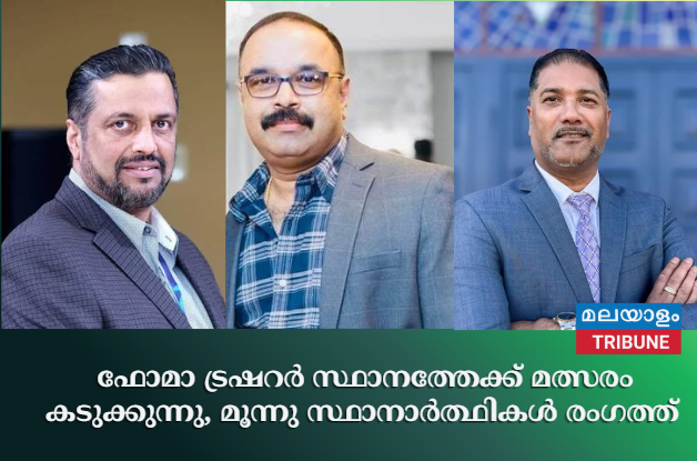 ഫോമാ ട്രഷറർ സ്ഥാനത്തേക്ക് മത്സരം കടുക്കുന്നു, മൂന്നു സ്ഥാനാർത്ഥികൾ രംഗത്ത്