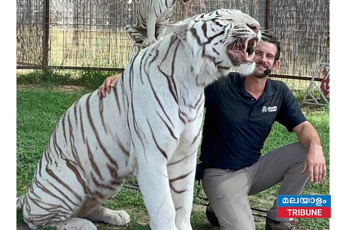 ഒക്ലഹോമയിലെ ഗ്രൗളർ പൈൻസ് ടൈഗർ പ്രിസർവിൽ റയാൻ ഈസ്ലി, കടുവയുടെ ആക്രമണത്തിൽ കൊല്ലപ്പെട്ടു.