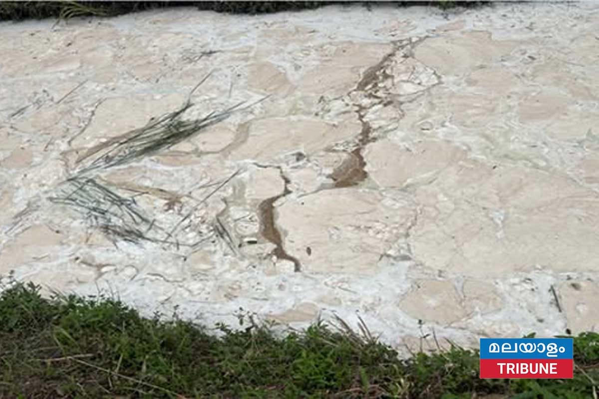 തടാകത്തിലേക്ക് രാസവസ്തുക്കൾ തള്ളിയ കോസ്മെറ്റിക്സ് ലാബ് മാനേജർക്കെതിരെ ക്രിമിനൽ കേസ്