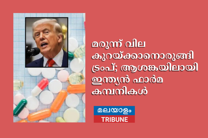 മരുന്ന് വില കുറയ്ക്കാനൊരുങ്ങി ട്രംപ്; ആശങ്കയിലായി ഇന്ത്യൻ ഫാർമ കമ്പനികൾ