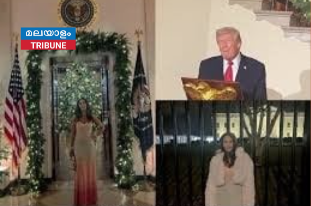 ട്രംപിന്റെ ക്രിസ്മസ് വിരുന്നിൽ അതിഥിയായി മല്ലിക ഷെരാവത്ത്