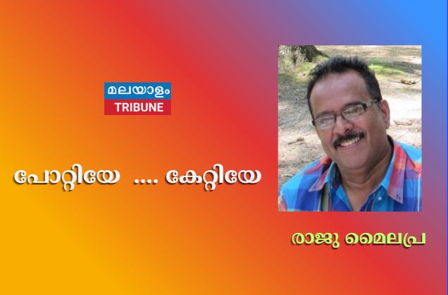 പോറ്റിയേ  .... കേറ്റിയേ