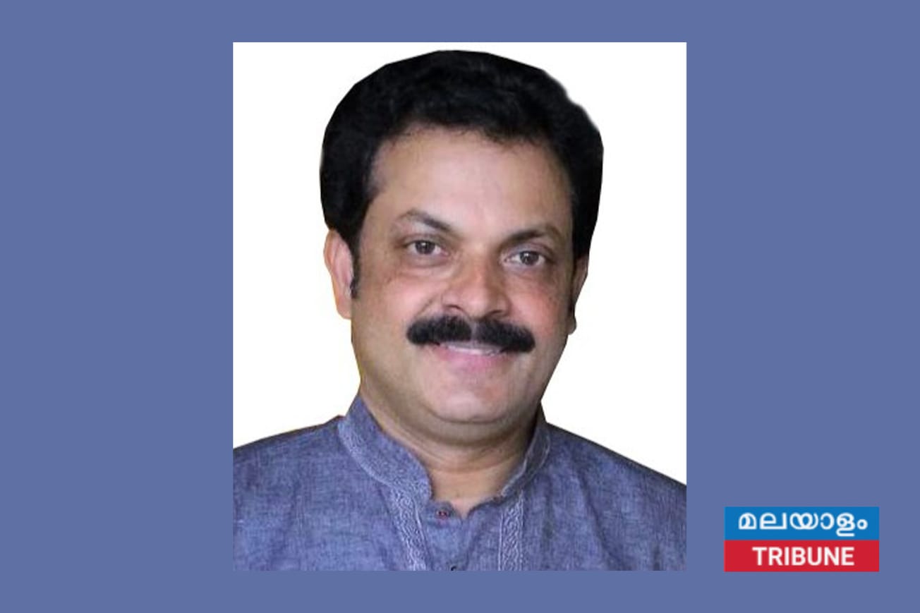 യു.എൻ സഭയിൽ വൈസ്‌മെൻ ഇൻറർനാഷനൽ അമേരിക്കൻ പ്രതിനിധിയായി ന്യൂയോർക്കിൽ നിന്നും സിബി ഡേവിഡിനെ തെരഞ്ഞെടുത്തു