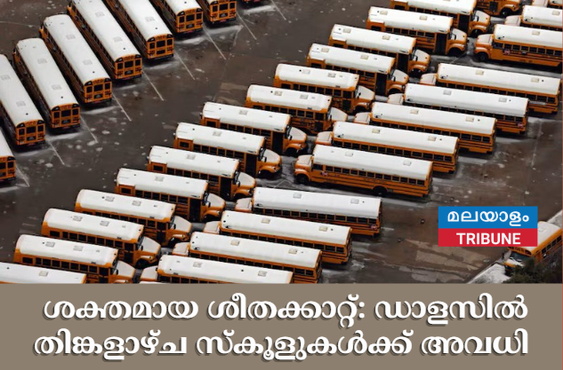 ശക്തമായ ശീതക്കാറ്റ്: ഡാളസിൽ തിങ്കളാഴ്ച സ്കൂളുകൾക്ക് അവധി
