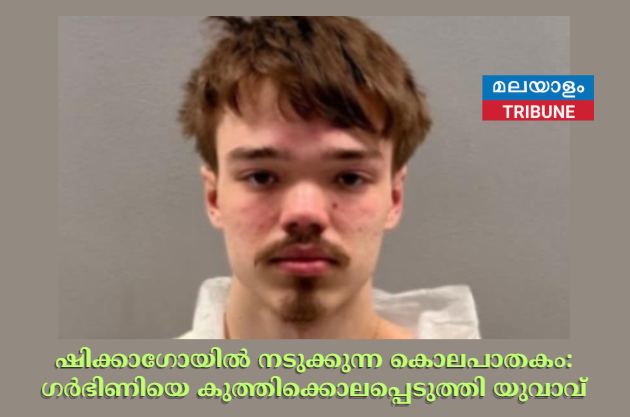 ഷിക്കാഗോയിൽ നടുക്കുന്ന കൊലപാതകം: ഗർഭിണിയെ കുത്തിക്കൊലപ്പെടുത്തി യുവാവ്