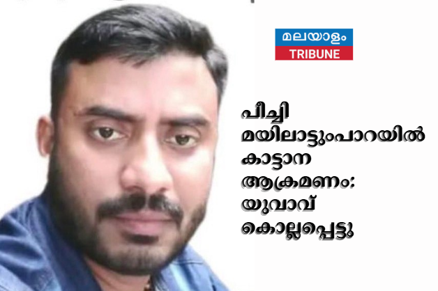 പീച്ചി മയിലാട്ടുംപാറയിൽ കാട്ടാന ആക്രമണം: യുവാവ് കൊല്ലപ്പെട്ടു